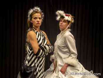 Hooodunnit? Great Horned Owl solves the crime in children's play debuting at Shenkman Arts Centre