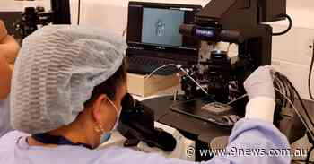 Cheaper and less intrusive fertility treatment available at Sydney hospital - 9News