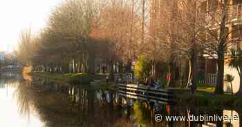 16 brilliant old Irish sayings - how many have you heard? - Dublin Live