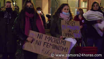 Las manifestaciones aumentan un 85% en Zamora en lo que va de año - Zamora 24 Horas