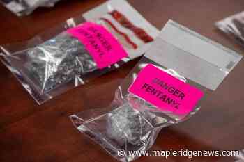 Canada to make 'important announcement' with BC on overdose crisis – Maple Ridge News - Maple Ridge News