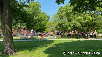 Tai Chi Call: Ottawa police explain response to woman with sword | CTV News - CTV News Ottawa
