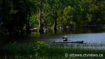 Ottawa weather: Hot and humid with possible thunderstorms - CTV News Ottawa