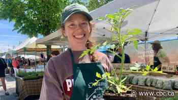 Ottawa-area farmers try to stay positive after devastating storm - CBC.ca