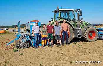 Bald blüht es in Stocket - Traunreut - Passauer Neue Presse - PNP.de