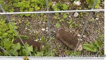 Handgranaten-Entschärfung am Bahnhof Holzkirchen: Polizei zieht Bilanz