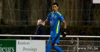 Yanni De Vriendt en Tempo Overijse spelen in eigen huis tegen Lebbeke voor promotie: “We zijn op alles voorbereid en gaan zaterdag top moeten zijn” - Het Laatste Nieuws