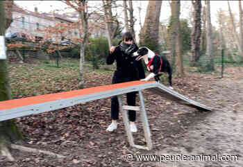 La ville de Suresnes inaugure un nouveau caniparc - peuple-animal.com