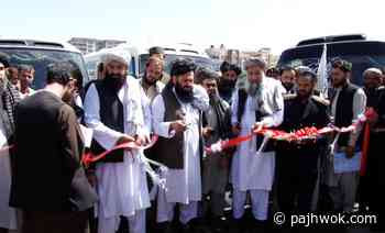Public transport buses launched on two other routes in Kabul - Pajhwok Afghan News