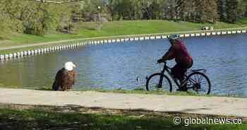 Your Saskatchewan photo of the day: June 2022