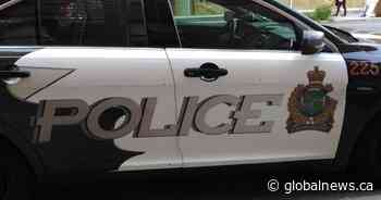 Niagara police seek suspect after crowd sprayed at fair in Pelham