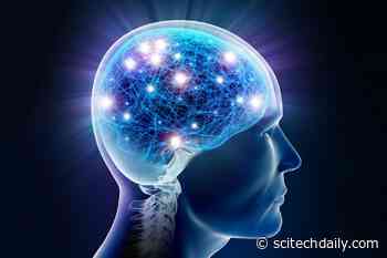 Why Does Parkinson’s Disease Cause Neurons To Die?