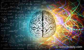 Our Creativity Has Increased as a Result of the COVID-19 Lockdown
