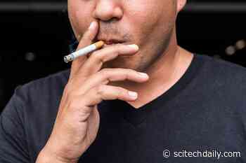 Surprisingly, Smokers Have a Lower Risk of Developing Prostate Cancer – But This Has a Hidden Cost