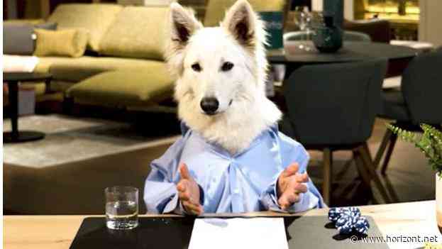 Ein dicker Hund: Porta und Jung von Matt entdecken Vierbeiner als Zielgruppe