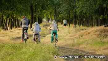 Frontignan : 5è Raid familles le 15 mai - Hérault Tribune