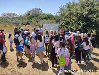 Enna – Ambiente. Studenti e docenti europei in visita alla Riserva Naturale Lago di Pergusa - Dedalomultimedia
