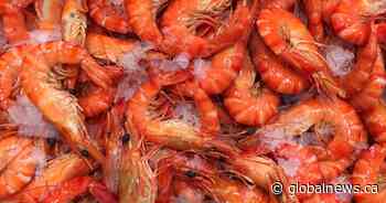 Tri Star Seafood Supply Ltd. brand live spot prawns recalled due to norovirus risk