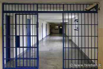 Putignano, picchiarono figlio di imprenditore per avere il 'pizzo': 10 condanne - Telebari