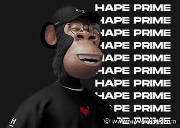 Hape by Dogstudio Wins Site of the Month April 2022