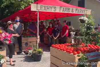 Apsley and North Kawartha residents now have access to fresh produce at the new Leahy's Farm & Market - kawarthaNOW