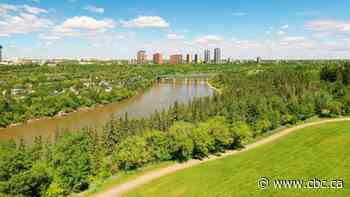 Mountain bikers, conservationists want trail strategy for Edmonton's river valley - CBC.ca