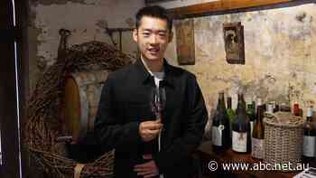 The trade war killed Song's Australian wine import business, but Labor's win gives him hope
