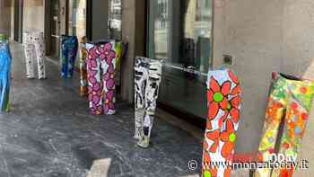 Perché a Monza ci sono i jeans colorati davanti alla banca? - MonzaToday