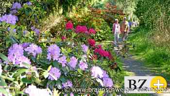 Süpplingenburger scheiden aus dem Dorfwettbewerb aus