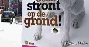 Vlaams Belang wil dispensers voor hondenpoepzakjes in straatbeeld - Het Laatste Nieuws