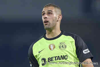 Nottingham Forest linked with Slimani but Murphy won't sanction deal - Nottingham Forest News