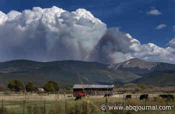 Editorial: 2nd Forest Service blunder makes clear who's responsible - Albuquerque Journal
