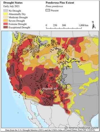 Thinning increases forest resiliency during unprecedented drought | Scientific Reports - Nature.com