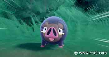 Pokemon Scarlet and Violet: Get a Load of Lechonk     - CNET