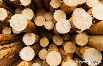 Zwei Männer bei Holzarbeiten im Landkreis Passau schwer verletzt - Passauer Neue Presse - PNP.de