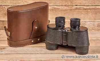 Luino pronta ad accogliere "Odescalchi", possibile allestire le vetrine con addobbi degli Alpini - Luino Notizie