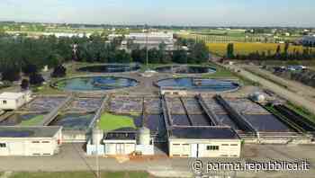 Torna la Green Week: a Parma premi Nobel, ospiti internazionali e 50 fabbriche della sostenibilità - La Repubblica