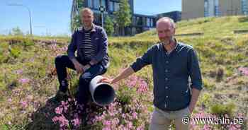 Bedrijventerrein Tielt Noord wordt proefproject voor nieuwe waterinfiltratie en buffertechnieken: “Kan inspiratie worden voor andere sites in Vlaanderen” - Het Laatste Nieuws