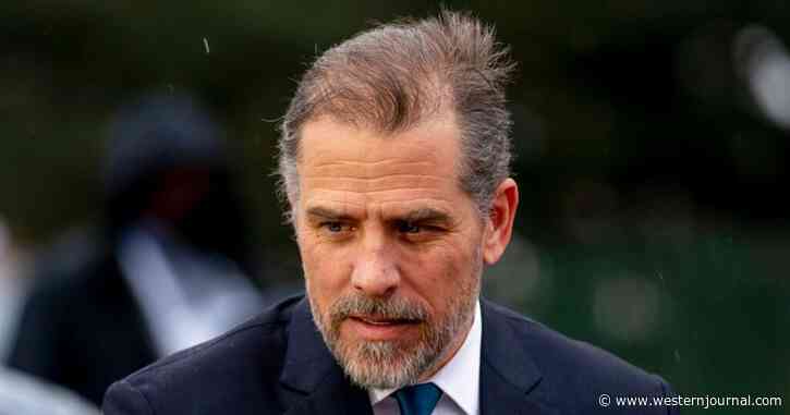Hunter Biden Visited 98 Porn Sites in 6 Days, Searched for '18yrs old,' 'lonely widow'