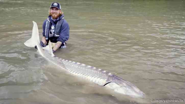 Black Diamond, Alta. family of 4 fishing for success in upcoming television show