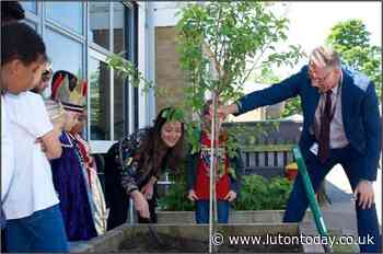 Luton primary school celebrates the Royal Platinum Jubilee - Luton Today