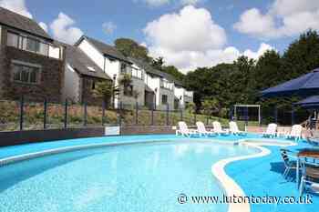 UK's most surprising stay-cay companions - Luton Today