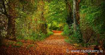 Temporary road safety measures in Killarney being sought - Radio Kerry