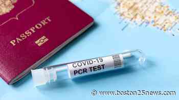 Coronavirus: CDC adds island destinations to 'high risk' category for travel - Boston 25 News