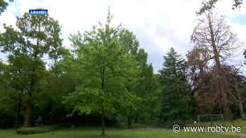 Het grootste park van Leuven wordt volgend jaar onder handen genomen. - ROB-tv