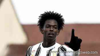 Parma, Felix Correia in bilico. Può tornare alla Juve, ma l'ultima parola spetterà a Pecchia - TUTTO mercato WEB