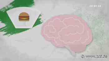 Wie wirkt Werbung auf unser Gehirn? (Creative Commons) - zdf.de