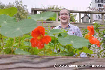 SENIORS WEEK 2022: Langley seniors centre a hub of activity during special week – Aldergrove Star - Aldergrove Star