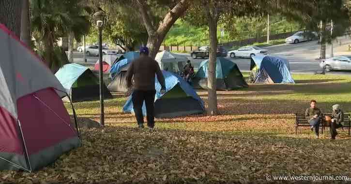'City of Homeless': Documentary Breaks Down Societal Decay Blighting Los Angeles
