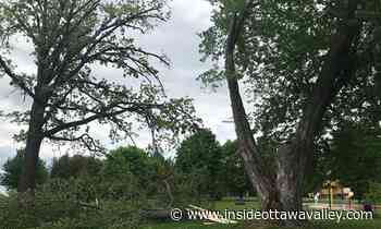 Arnprior spared brunt of May 21 storm - Ottawa Valley News